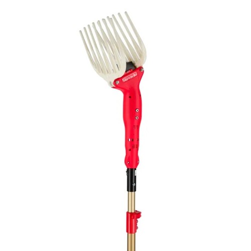 Abbacchiatore elettrico 12v - elettrico,