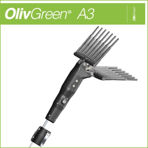Minelli olivgreen - minelli,