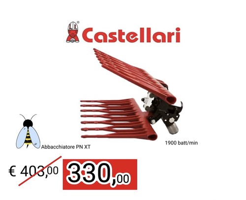 Castellari pettine