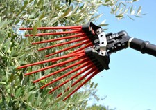 Lisam evo abbacchiatore - evo,