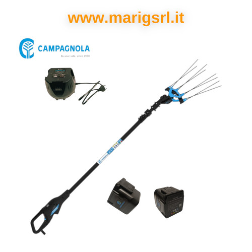 Abbacchiatore olive campagnola - abbacchiatore,