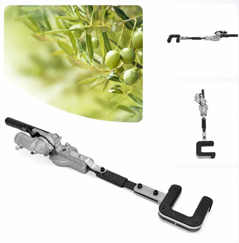 Testa raccogli olive per - raccogli,